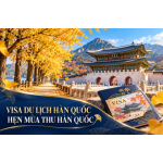 DỊCH VỤ VISA HÀN QUỐC