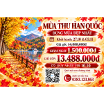 MÙA THU SEOUL - LOTTE WORLD - ĐẢO NAMI - THƯ VIỆN - BAY SUN PHÚ QUỐC
