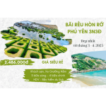 Bãi Rêu Hòn Rớ Tuyệt Tác Thiên Nhiên Mùa Rêu Xanh 3N3Đ