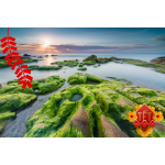 DU XUÂN CỔ THẠCH BÃI RÊU–HÒN CAU–MŨI DINH–PHAN THIẾT