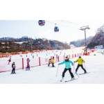 [MÙA ĐÔNG KOREA 5N4Đ] Ngắm Suối Cheonggyecheon (Lễ hội Ánh sáng Mùa đông)