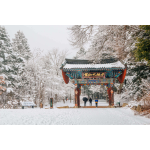 MÙA ĐÔNG HÀN QUỐC SEOUL - LOTTE WORLD - TRƯỢT TUYẾT - HÁI DÂU TẠI VƯỜN