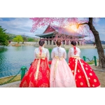 [MÙA THU KOREA 5N4Đ] Làng Hanok Eunpyeong - Trải Nghiệm Hái Táo Tại Vườn - Vườn Ban Mai Tĩnh lặng