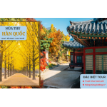MÙA THU  HÀN QUỐC SEOUL - LOTTE WORLD - ĐẢO NAMI - LÀNG CỔ IKSEON DONG