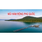 [CẦN THƠ 4N3Đ] Khám Phá Vườn Trái Cây Cần Thơ - Phiêu Lưu Bắc Đảo Mũi Hàm Rồng Xe Ghế Nằm Vip Cao Cấp 26 Ghế