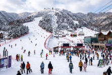 MÙA ĐÔNG HÀN QUỐC SEOUL - LOTTE WORLD - TRƯỢT TUYẾT - HÁI DÂU TẠI VƯỜN