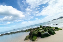 DU XUÂN CỔ THẠCH BÃI RÊU–HÒN CAU–MŨI DINH–PHAN THIẾT