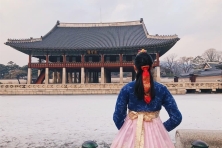 [MÙA XUÂN KOREA5N4Đ] Đón Lễ Hội Hoa Anh Đào & Đèn Lồng Suối Yangjaecheon - Ngắm Pháo Đài Hwaseong ở Sunwon