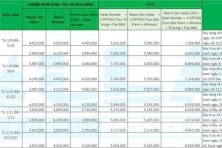 Full Option (4n3đ + 4 Tours)