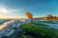 DU XUÂN CỔ THẠCH BÃI RÊU–HÒN CAU–MŨI DINH–PHAN THIẾT