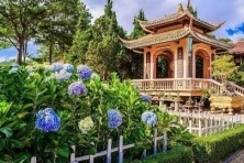 ĐÀ LẠT - HAPPY HILL SĂN MÂY CẦU ĐẤT KHÁM PHÁ VƯỜN ĐỊA ĐÀNG