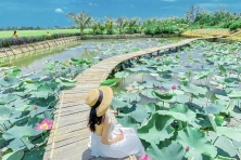 DU XUÂN CỔ THẠCH BÃI RÊU–HÒN CAU–MŨI DINH–PHAN THIẾT