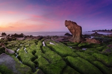 DU XUÂN CỔ THẠCH BÃI RÊU–HÒN CAU–MŨI DINH–PHAN THIẾT