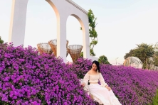 [TẾT 2025 TỐI MÙNG 3 ] Du Xuân Đà Lạt | Ninh Chữ | Vườn Ánh Sáng Lumiere | Đảo Bình Hưng | Vịnh Đá Vách Sâu