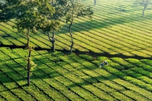 “Khám Phá Tây Nguyên” Gia Lai – Kon Tum– Đăk Lăk