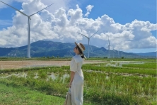 Bãi Rêu thôn Từ Thiện - Bình Hưng - Cầu Vồng An Hill