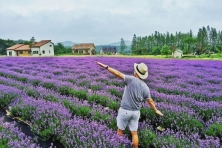 [ĐÀ LẠT 3N3Đ] Mùa Hoa Phượng Tím | Cánh Đồng Hoa Lavender Tháng 3 & Tháng 4