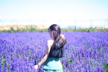 [ĐÀ LẠT 3N3Đ] Ngắm Nhìn Mùa Hoa Lavender Tím Cả Cánh Đồng