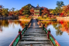 [MÙA THU KOREA ] Khám Phá Ẩm Thực Chợ Gwangjang