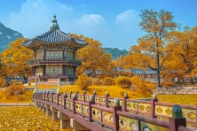 [MÙA THU KOREA ] Khám Phá Ẩm Thực Chợ Gwangjang
