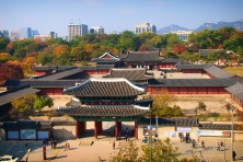 [MÙA THU KOREA 5N4Đ] Làng Hanok Eunpyeong - Trải Nghiệm Hái Táo Tại Vườn - Vườn Ban Mai Tĩnh lặng