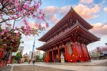 DU LỊCH NHẬT BẢN MÙA THU TOKYO–FUJI–KYOTO-OSAKA