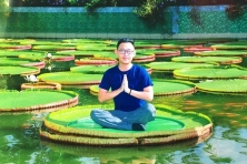 [AN GIANG 1N1Đ] Khám Phá Chùa Lá Sen Vua | Rừng Tràm Trà Sư