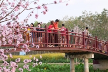 [PHƯỢT TÂY NINH 1 NGÀY] Khám Phá Thủy Hoa Viên