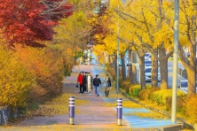 [MÙA THU KOREA ] Khám Phá Ẩm Thực Chợ Gwangjang