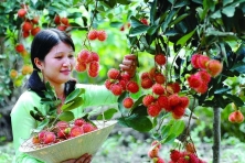 [PHƯỢT CẦN THƠ 2N1Đ] Khám Phá Di Tích Giàn Gừa
