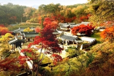 [PHƯỢT MÙA XUÂN KOREA] Trải nghiệm văn hóa, cuộc sống như một người Seoul chính hiệu