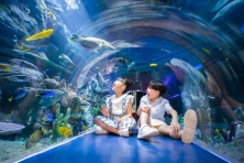 [VOUCHER 3N2Đ] Xuống Biển " Hái Sao" Rạch Vẹm Khám Phá Cửa Cạn Vinperland Trải Nghiệm Cáp Treo Hòn Thơm - Suối Tranh - Dinh Cậu