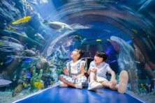 [THÊN ĐƯỜNG MALDIVES 3N3Đ] Dinh Bảo Đại Nha Trang Xe Nằm Cao Cấp