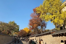 [PHƯỢT MÙA THU KOREA ] Trải nghiệm văn hóa & khám phá Công viên Seoul Forest