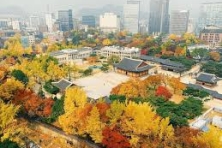 [PHƯỢT MÙA THU KOREA ] Trải nghiệm văn hóa & khám phá Công viên Seoul Forest