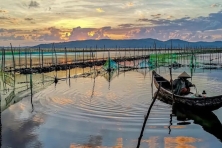[PHÚ YÊN 1 NGÀY ] Viếng Thăm Chùa Thanh Lương Phú Yên
