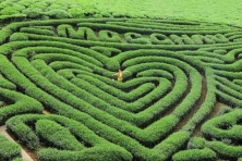 [MỘC CHÂU 3N2Đ] Mùa Hoa Ban Vùng Tây Bắc | Khu Du Lịch Happy Land | Đồi Chè Tình Yêu