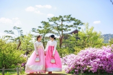 [MÙA THU KOREA 4N4Đ] Ngắm Lá Vàng Rực Rỡ tại Trường Đại Học Nữ sinh Ehwa - Chợ Đêm Hongdae - Trải Nghiệm Hái táo tại vườn