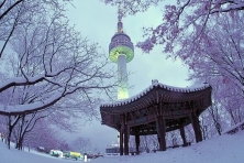 MÙA ĐÔNG HÀN QUỐC SEOUL - LOTTE WORLD - TRƯỢT TUYẾT - HÁI DÂU TẠI VƯỜN