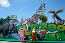FLC SAFARI 1N ] Tham Quan Khu Vui Chơi Quy Nhơn