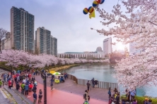 [PHƯỢT MÙA XUÂN KOREA] Trải nghiệm văn hóa, cuộc sống như một người Seoul chính hiệu