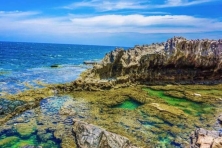 Cổ Thạch Bãi Rêu Ninh Chữ Biển Bãi Cóc Hang Rái Đồng Cừu An Hòa Đồi Cát Nam Cương 3N3Đ