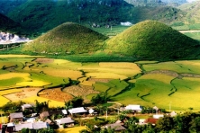 Mùa Thu Ngắm Cánh Đồng Hoa Tam Giác Mạch - Trải Nghiệm Sông Nho Quế
