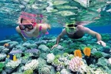 [VOUCHER 3N2Đ THÁNG HÈ] Khám Phá Cửa Cạn Vinperland - Trải Nghiệm Cáp Treo Hòn Thơm - Suối Tranh - Dinh Cậu - Xuống Biển 