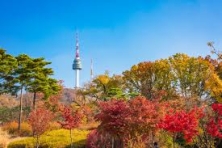 [MÙA THU KOREA 5N4Đ]Ngắm Lá Vàng Công Viên Yeouido