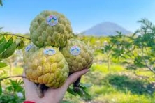 [PHƯỢT TÂY NINH 2N1D] Trải Nghiệm Ma Thiên Lãnh