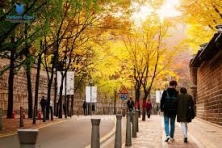 [MÙA ĐÔNG KOREA 5N4Đ] Ngắm Suối Cheonggyecheon (Lễ hội Ánh sáng Mùa đông)