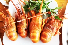 [PHƯỢT SUỐI BA HỒ] THƯỞNG THỨC HẢI SẢN BÌNH BA [3N3D]