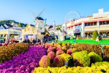 DU LỊCH MÙA HÈ HÀN QUỐC ĐẢO NAMI - CÔNG VIÊN EVERLAND