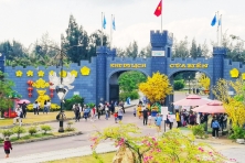 FLC SAFARI 1N ] Tham Quan Khu Vui Chơi Quy Nhơn
